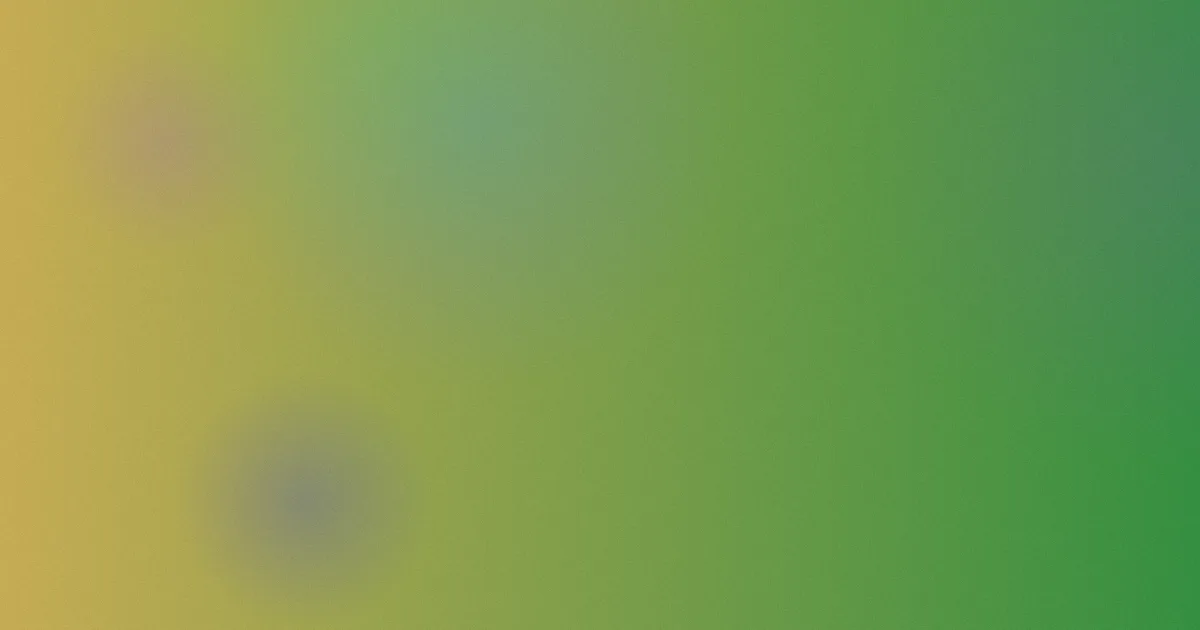 欧美一级黄色片怎么辨别风险